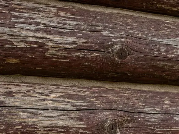Close-up of weathered gray peeling burgundy-brown stain on log cabin wall